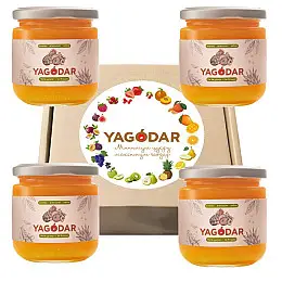 Джемы без сахара YAGODAR Ананас Апельсин Имбирь 4 шт (2183978432)