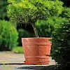 Горшок для цветов Derevo Elba-6 25 л терракот Form-Plastic