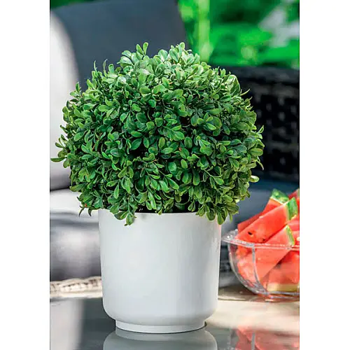 Горшок для цветов Сатина Еко-20 белый Form-Plastic