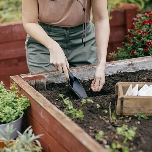 Садовий совок Fiskars Solid (1071899)