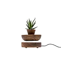 Декоративний дерев'яний вазон з піалою ecoWalnut