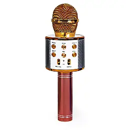 Беспроводной микрофон-караоке Wster MP3 Bluetooth Pink and Gold (1525693038)