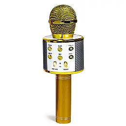 Беспроводной микрофон-караоке Wster MP3 Bluetooth Gold (658826011)