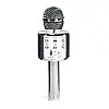 Беспроводной микрофон-караоке Wster MP3 Bluetooth Steel (983049798)