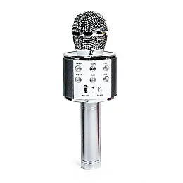 Беспроводной микрофон-караоке Wster MP3 Bluetooth Steel (983049798)