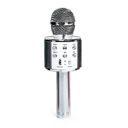 Беспроводной микрофон-караоке Wster MP3 Bluetooth Steel (983049798)