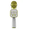 Портативный микрофон колонка караоке GDS DS813 с функцией смены голоса Золотой (824)