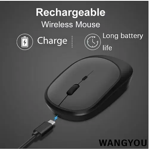 Компьютерная беспроводная аккумуляторная мышка Wangyou 2.4 ГГц Черный