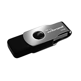 Флеш пам'ять USB Wibrand 256 GB Lizard Gen1 USB 3.2 Чорна (36733_3608955)