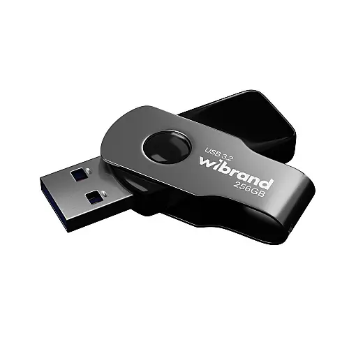 Флеш пам'ять USB Wibrand 256 GB Lizard Gen1 USB 3.2 Чорна (36733_3608955)