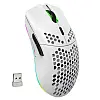 Мышь беспроводная HYSJ Т66 с аккумулятором и подсветкой 2,4G White
