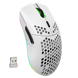 Мышь беспроводная HYSJ Т66 с аккумулятором и подсветкой 2,4G White