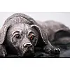Серебряная фигура ручной работы Собака отдыхает сер00005 Оникс