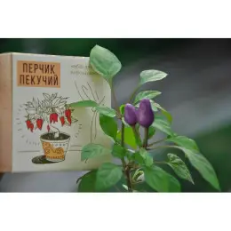 Экокуб перчик набор для выращивания растений (ytrewq543233)