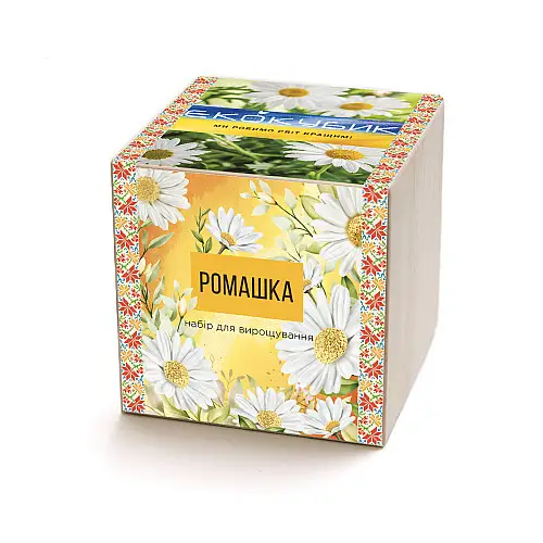 Экокуб ромашка набор для выращивания растений (ytrewq54322)