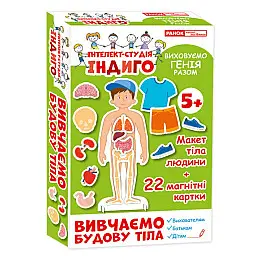 Індиго Ranok Creative Вивчаємо будову тіла 13109081