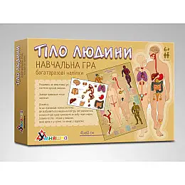 Игра обучающая с многоразовыми наклейками Умняшка 