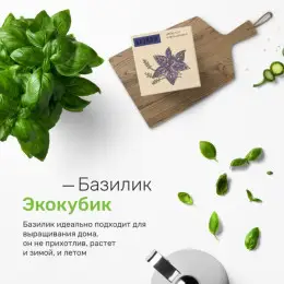 Экокуб базилик набор для выращивания растений (ytrewq543223)