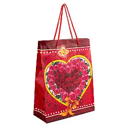 Сумочка подарочная пластиковая с ручками Gift bag Сердца и розы 23х18х7.5 см Красный (27323)