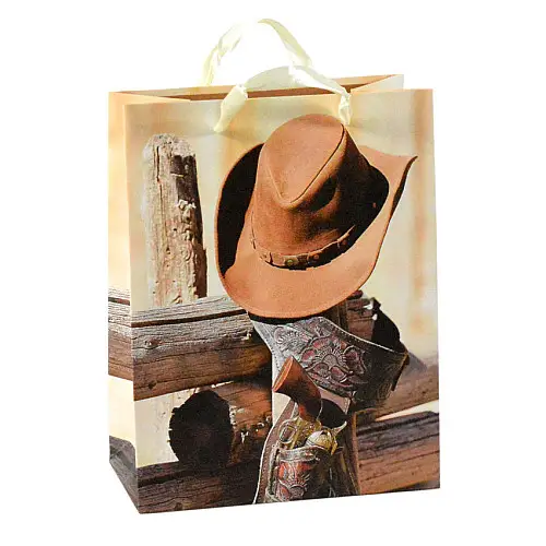 Сумочка подарочная бумажная с ручками Gift bag Шляпа 23х18х10 см (15795)
