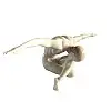 Статуетка декоративна Atlet 13,5 х40 см Unicorn Studio AL86327