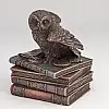 Шкатулка Veronese Сова на книгах Q2 Бронзовый AL3138