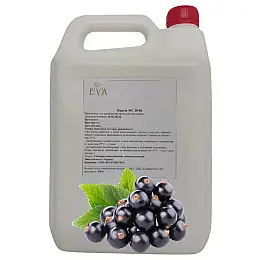Концентрированный сок Eva Черной смородины 5 л / 6,5 кг