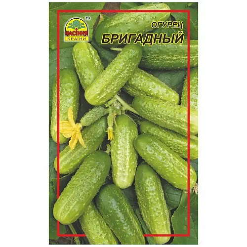 Насіння огірка Насіння країни Бригадний 5 г