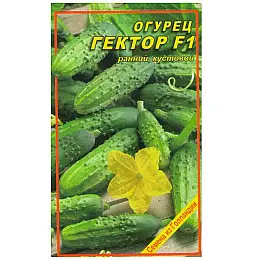 Насіння огірка Насіння країни Гектор F1 10 шт