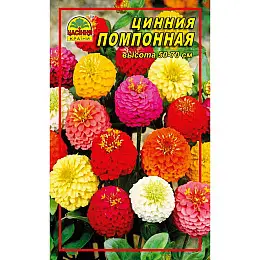 Семена Цинния Насіння країни Помпонная 0,5 г