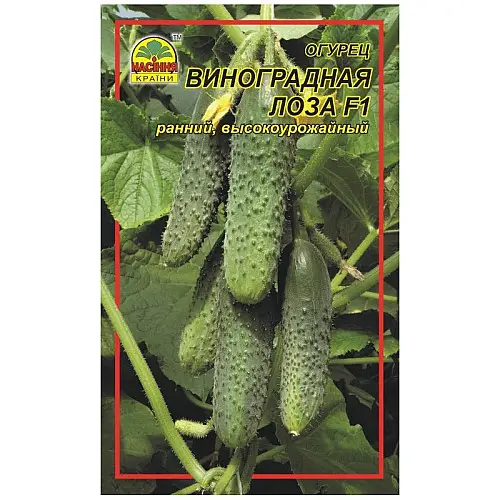 Насіння огірка Насіння країни Виноградна лоза F1 3 г 120 шт (1137298891)