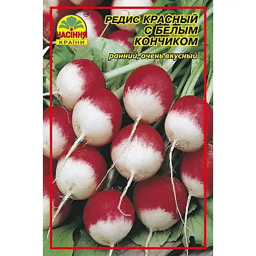 Насіння редиски Насіння країни Червоний з білим кінчиком 20 г