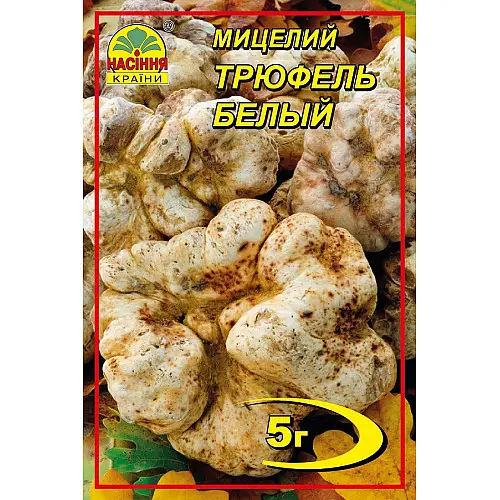 Міцелій Насіння країни Трюфель білий 5 г