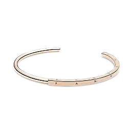 Серебряный браслет Pandora 589493C00