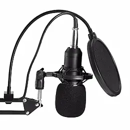 Конденсаторный микрофон студийный RIAS М800U с ветрозащитой Black (3_04683)