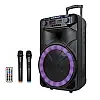 Акустична система RIAS ZXX-1011 + 2 мікрофони 1800 mAh 150W Чорний