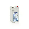 Акумуляторна батарея Merlion AGM GP450F1 4V 5 Ah