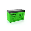 Аккумулятор мультигелевый AGM Merlion G-MLG1270F2 12V 7,0Ah