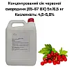Концентрированный сок Eva Красной смородины 5 л / 6,5 кг