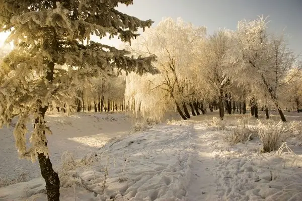 фото народные приметы февраля