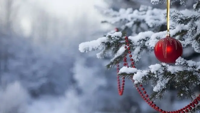 изображение новогодние обои