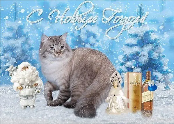 изображение оригинальные, лучшие сувениры на Новый год