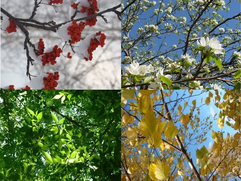 фотографія що пророкують синоптики для України