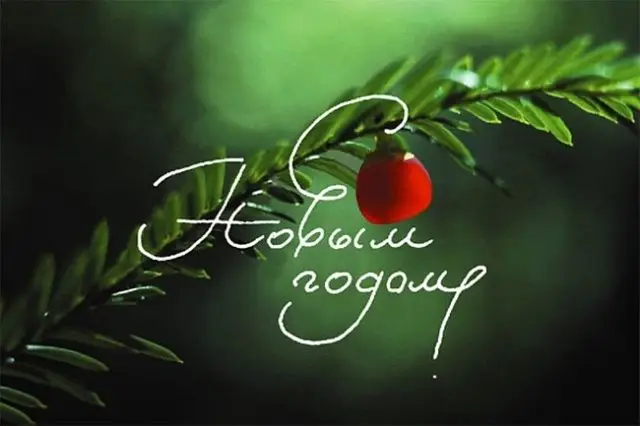 фотографія новорічні привітання татові