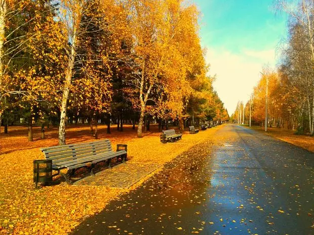 фотография осенние народные приметы
