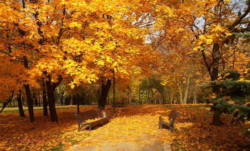 фото погода восени в Україні