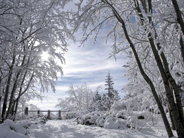 зображення прогноз погоди на зиму для України